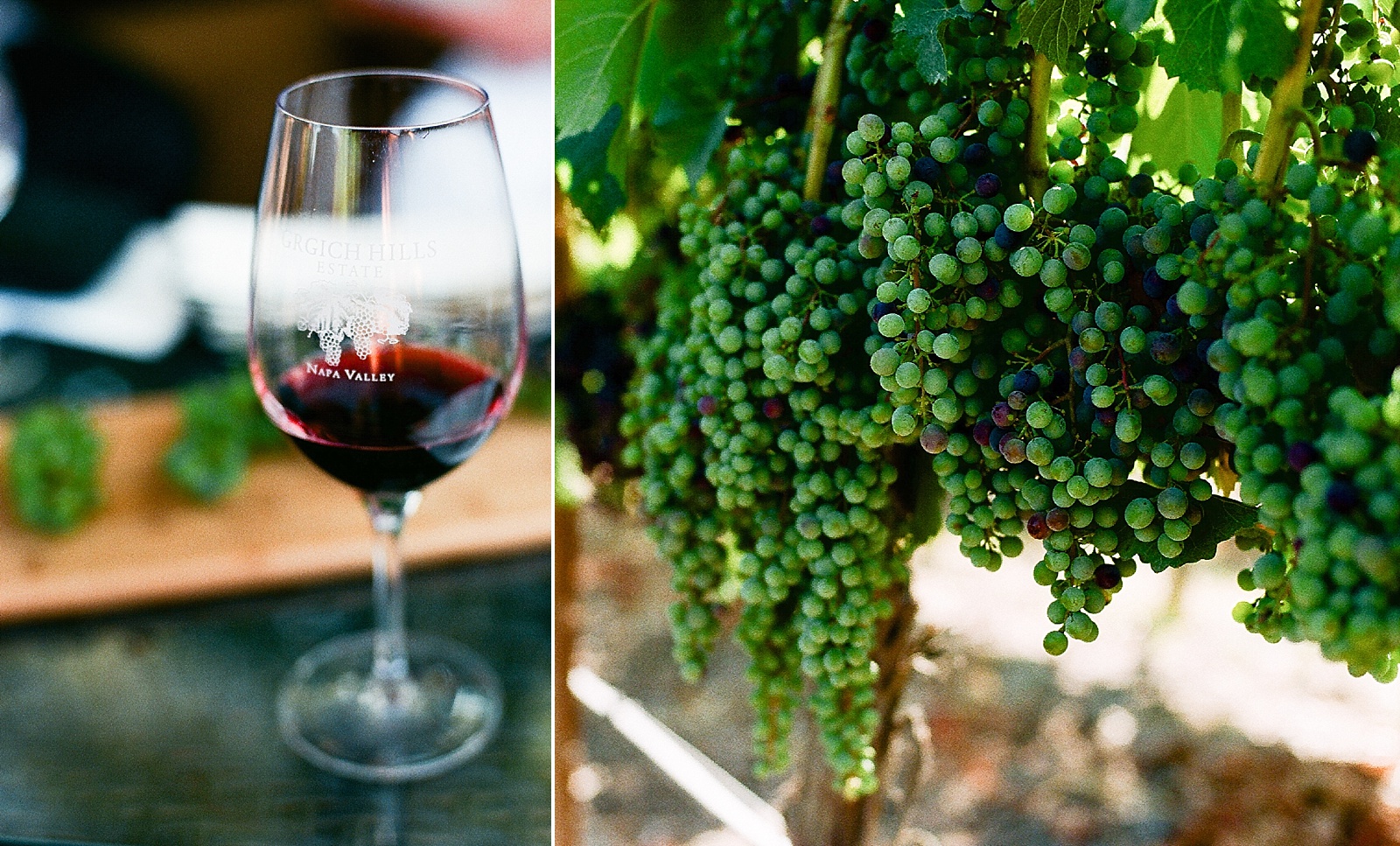 Red wine glass with grapes on the vine photo in Napa Valley