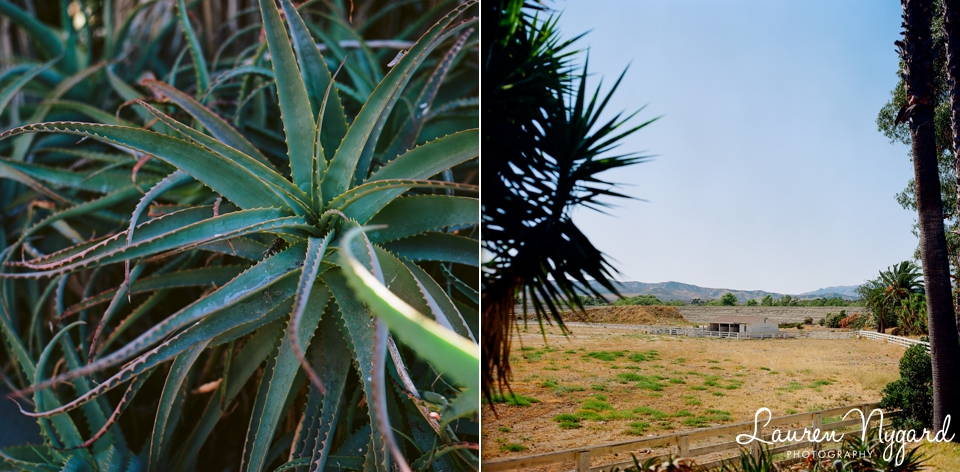 California Film Photography by San Diego Wedding Photographer Lauren Nygard